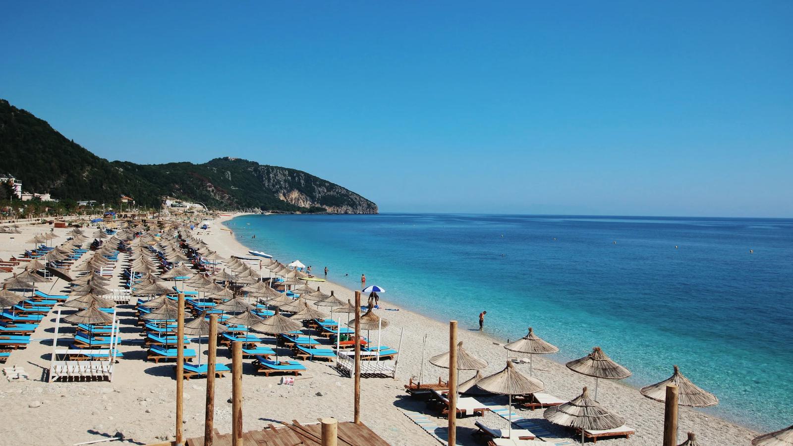 people on beach during daytime