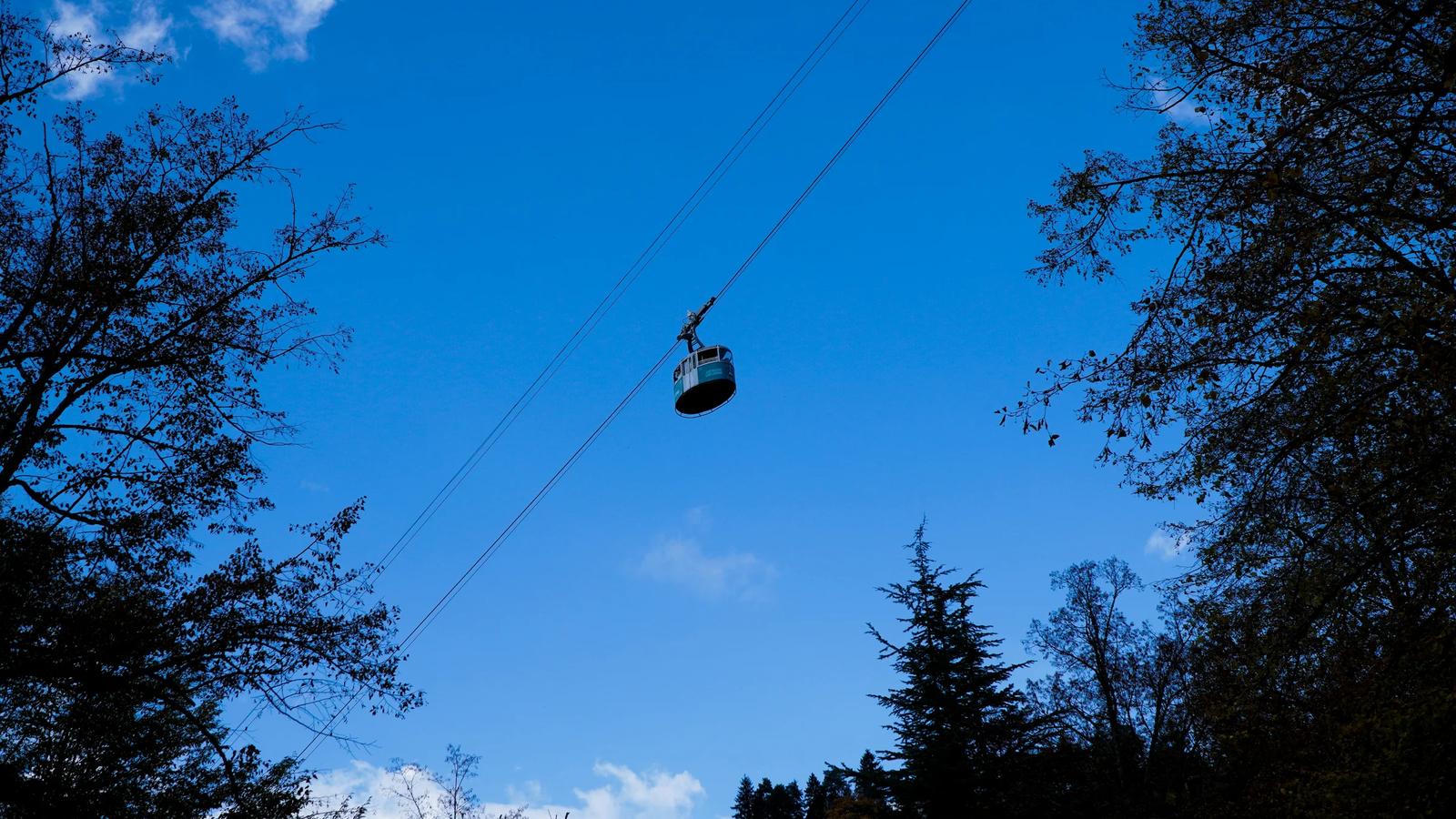 a person in a chair in the air with trees in the back