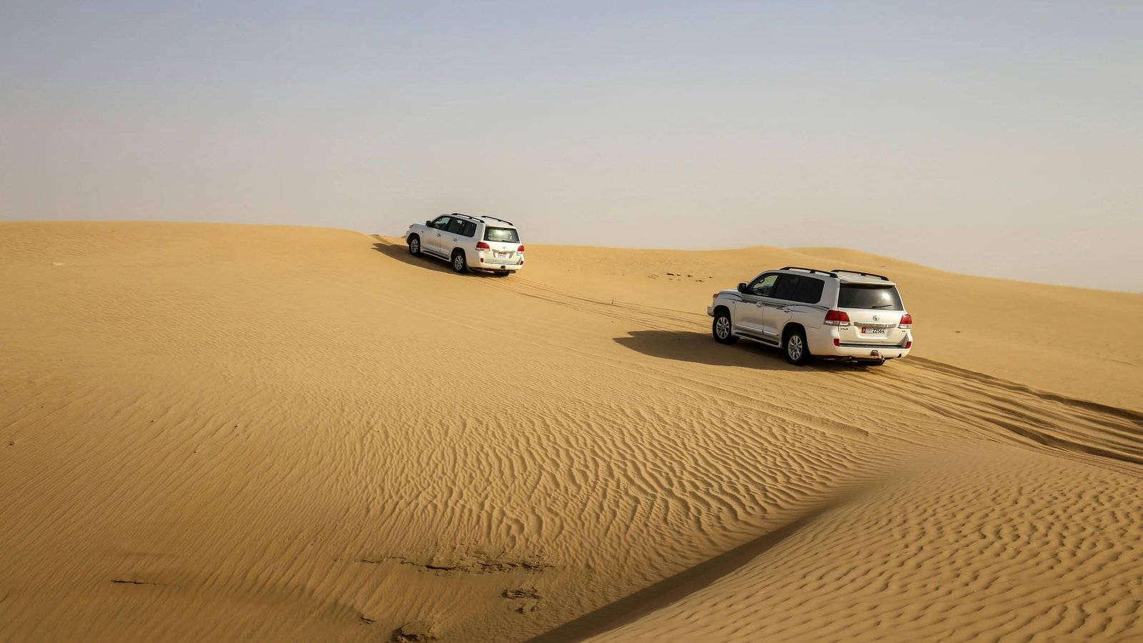 Desert Safaris in Qatar: Types, Prices, and How to Choose