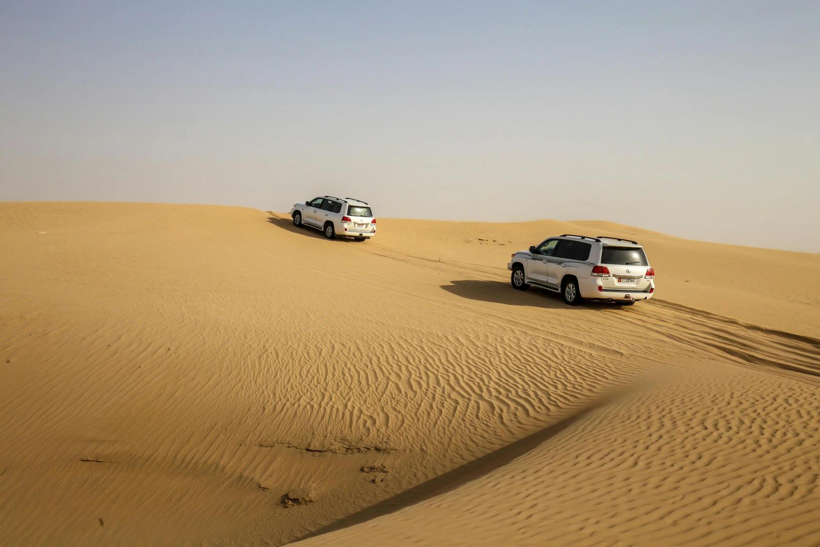 Desert Safaris in Qatar: Types, Prices, and How to Choose