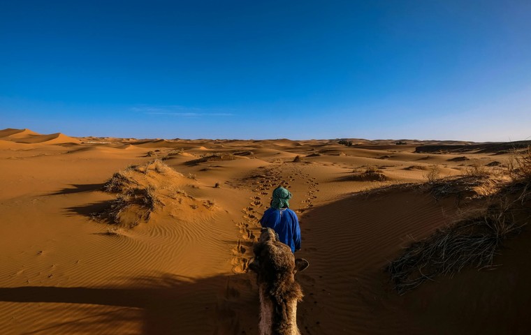 Best Tours in Doha: Desert Safaris, City Highlights and Dhow Cruises