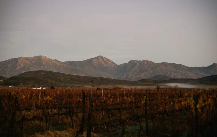 Telavi and Kakheti – Georgia's Wine Region: What to See, How to Get There, Prices