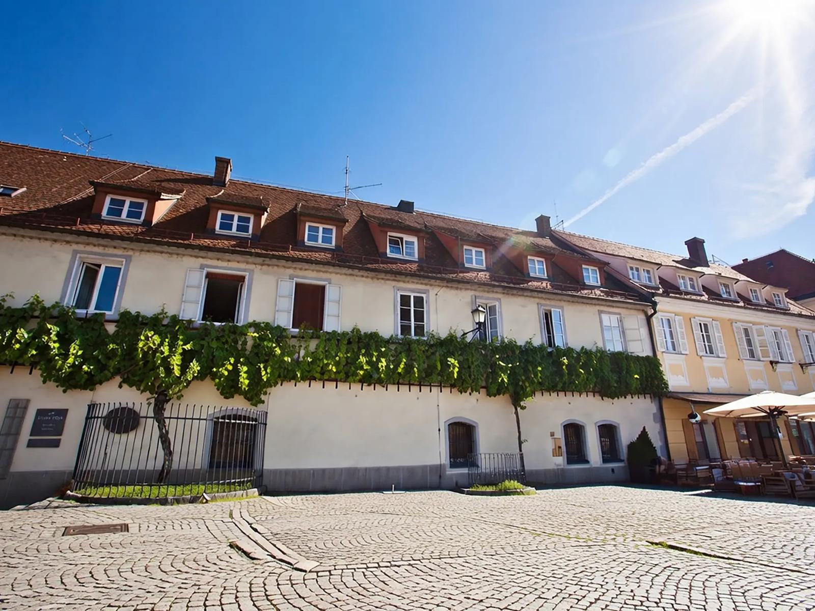 Старейшая виноградная лоза