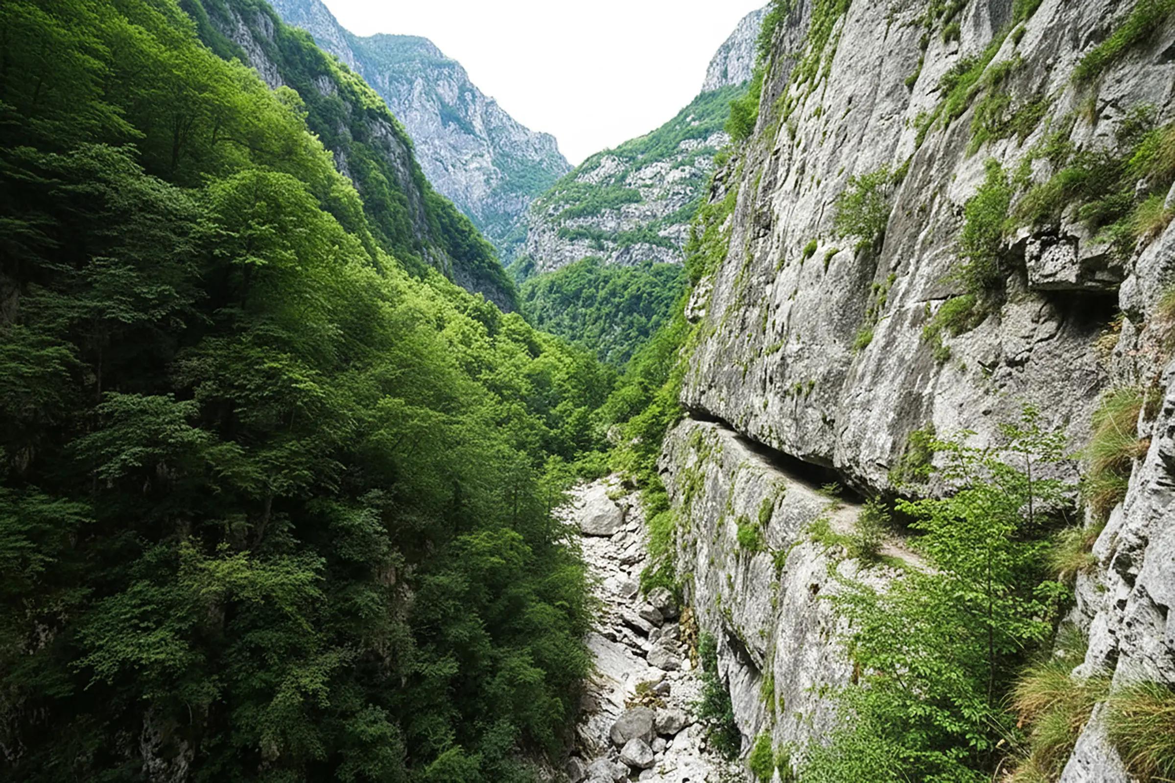 Mrtvica Canyon