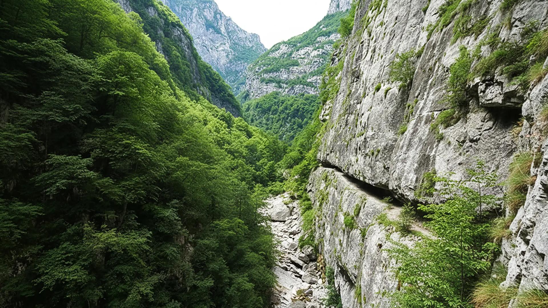 Mrtvica Canyon