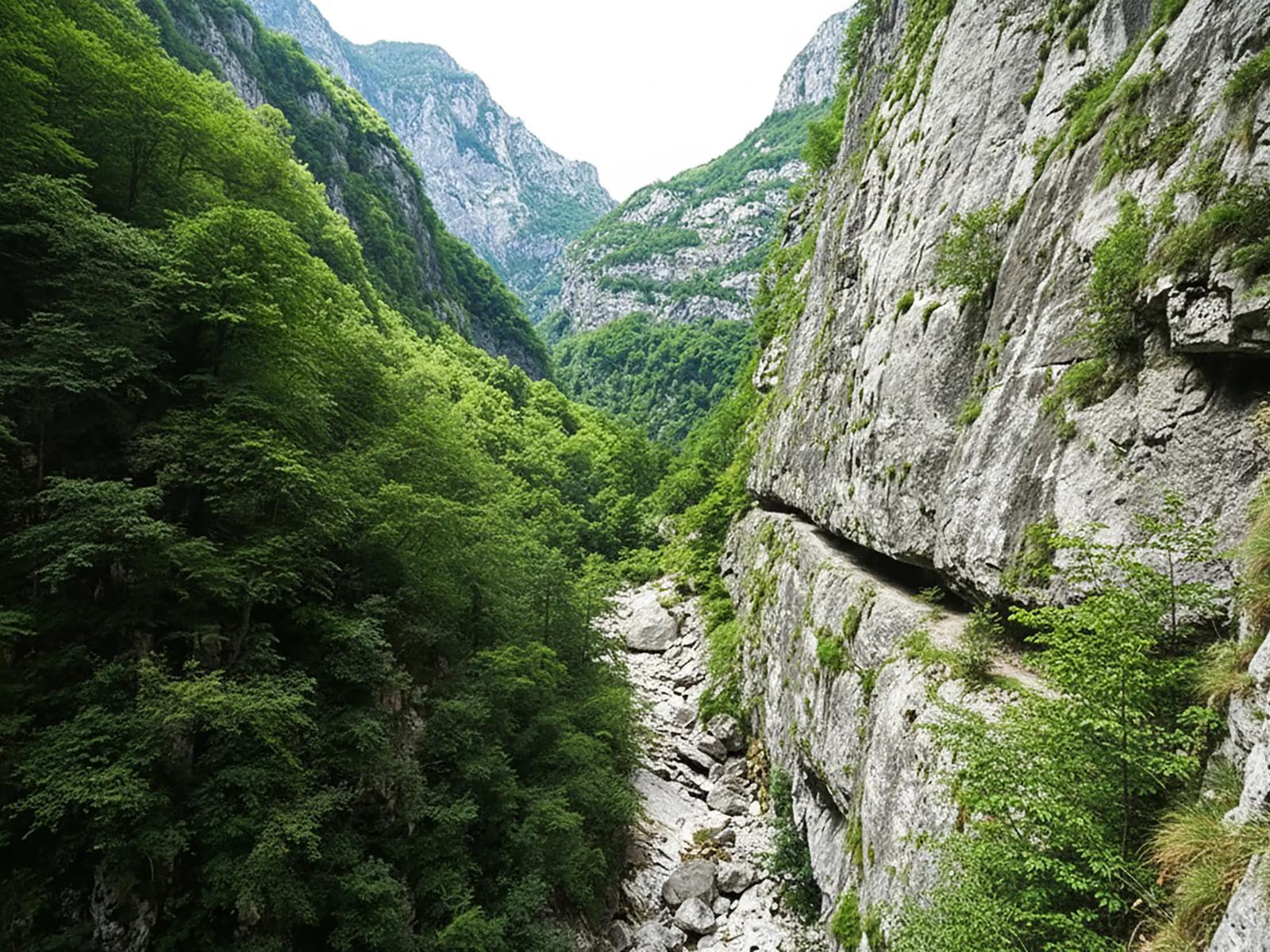 Каньон Мртвица