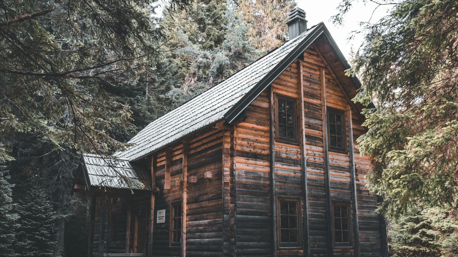 Автор фото на Pexels: F1lter 88