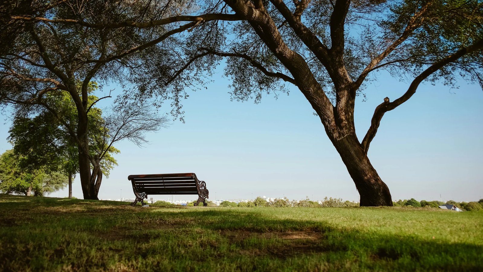 Katara Cultural Village: What to Do, What to See and How Much It Costs