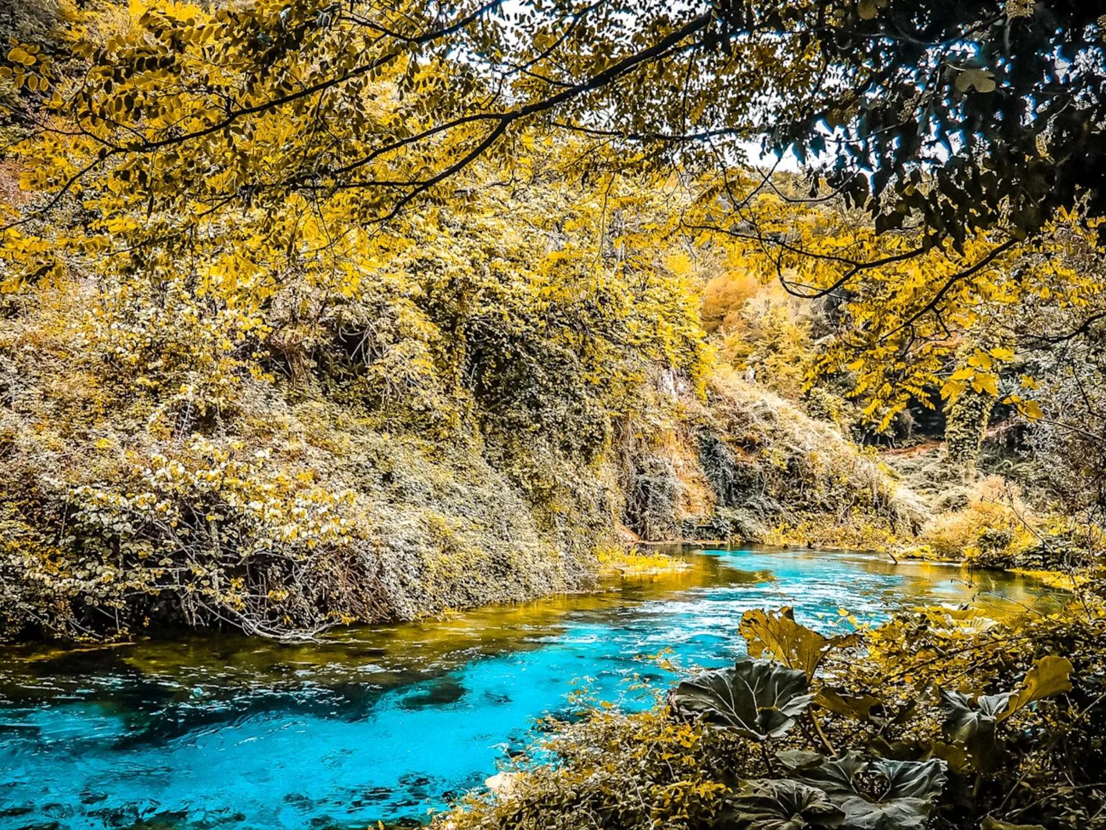 Blue Eye (Syri i Kaltër)