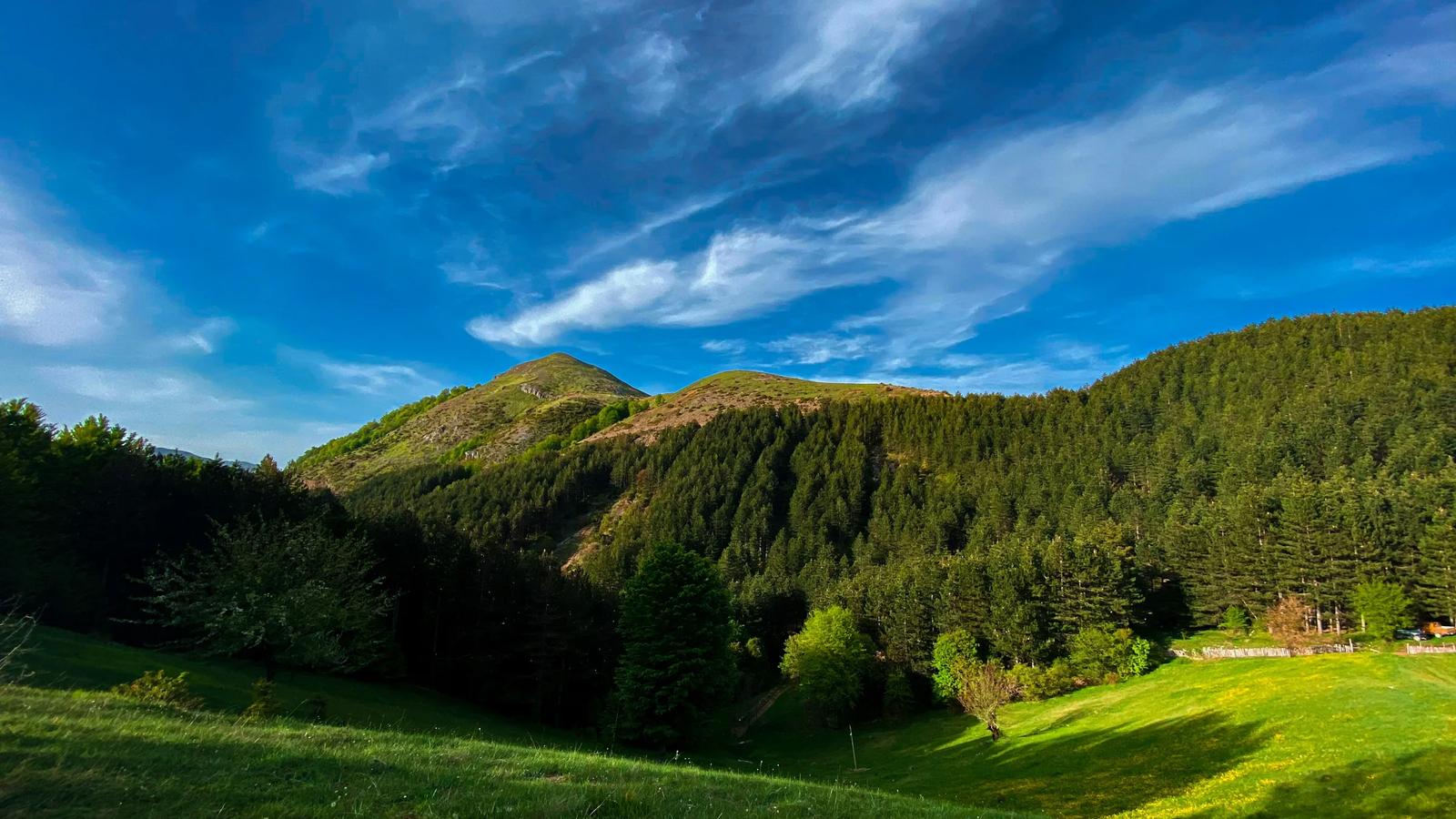 a grassy field with a mountain in the background
