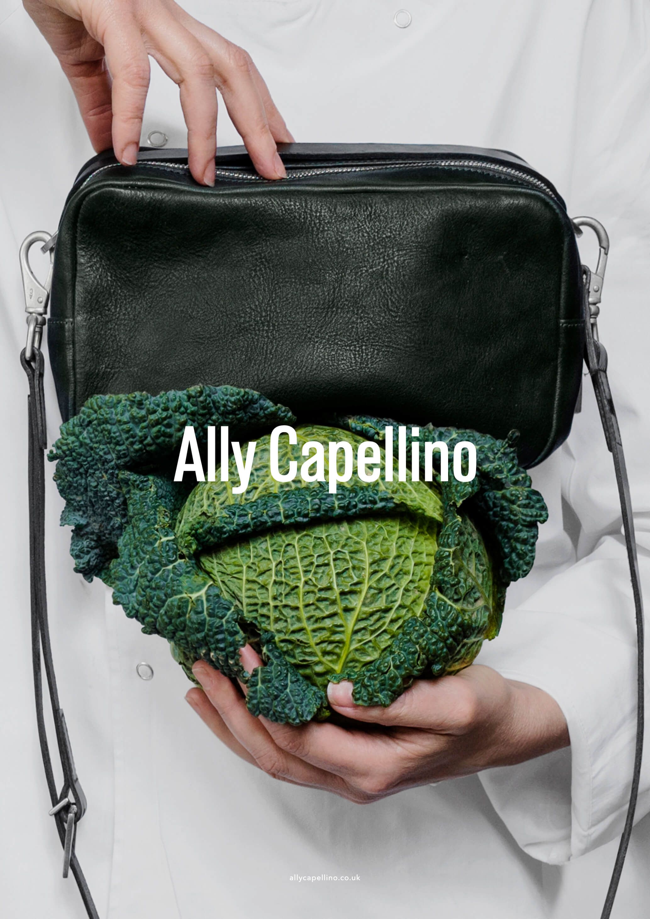 Ally Capellino Campaigns