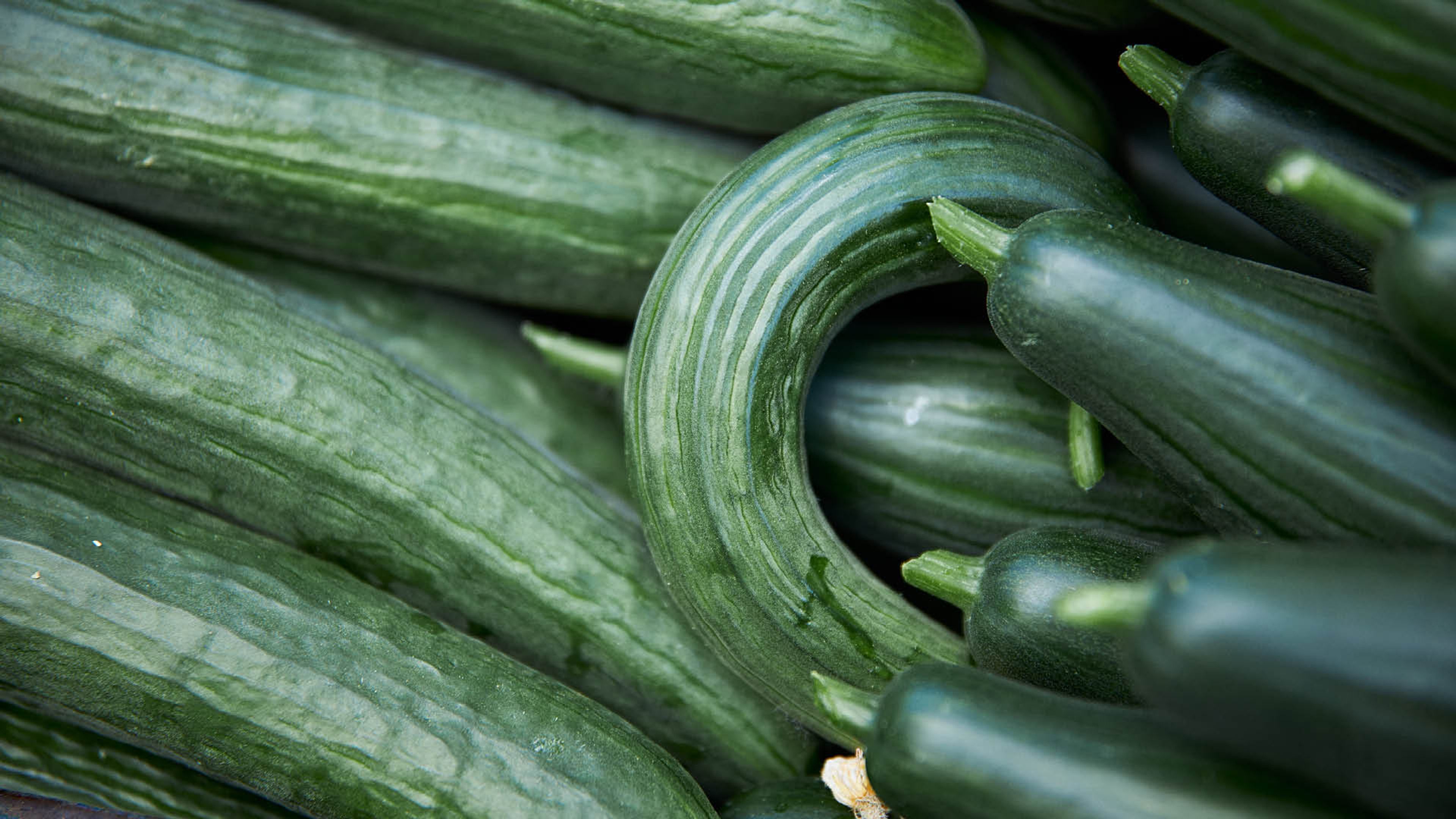 Lær hvordan oppbevare agurk med Godtlevert