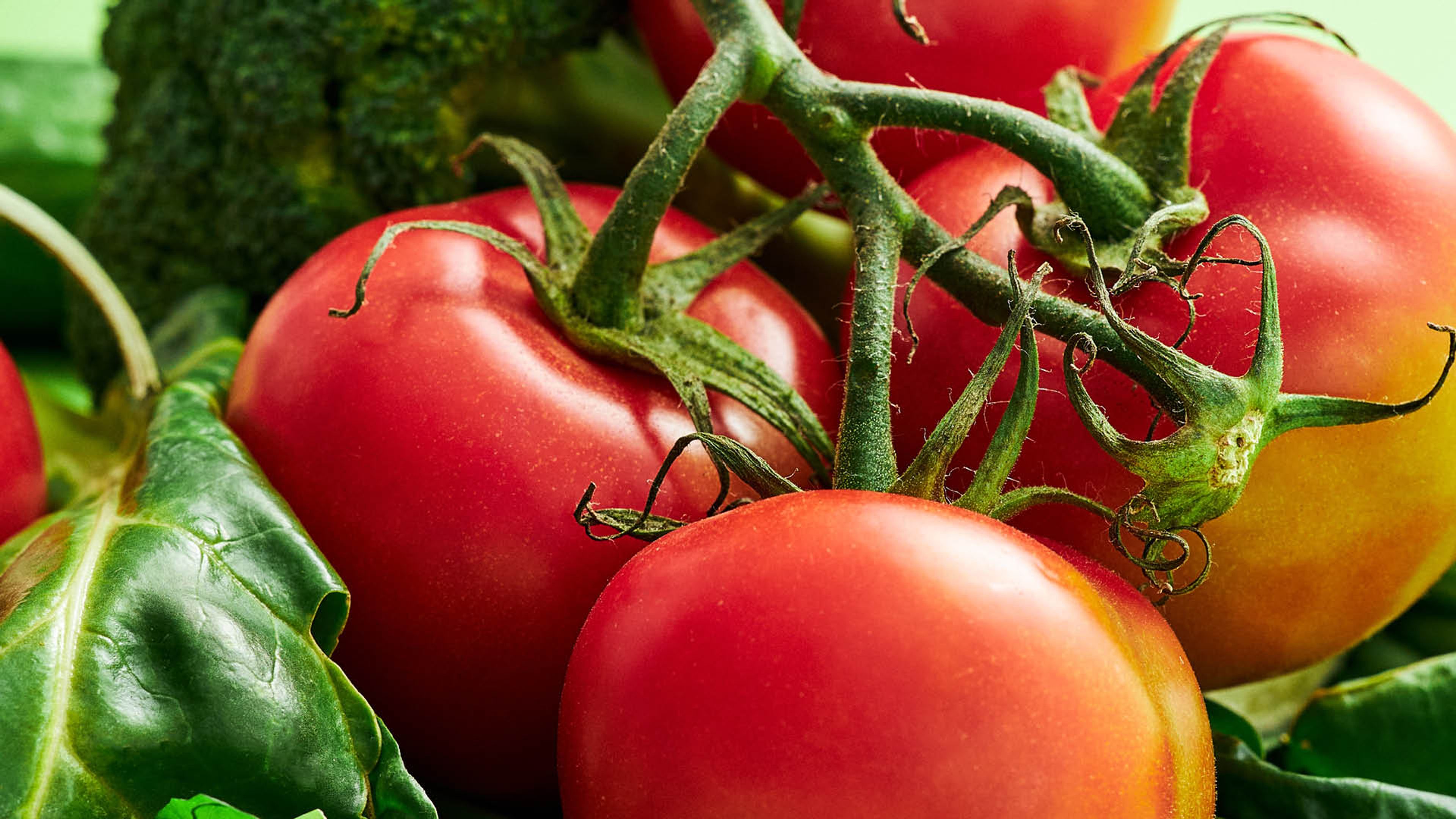 Riktig oppbevaring av tomater for friskhet og smak