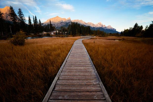 Policemans Creek Trail in Canmore.