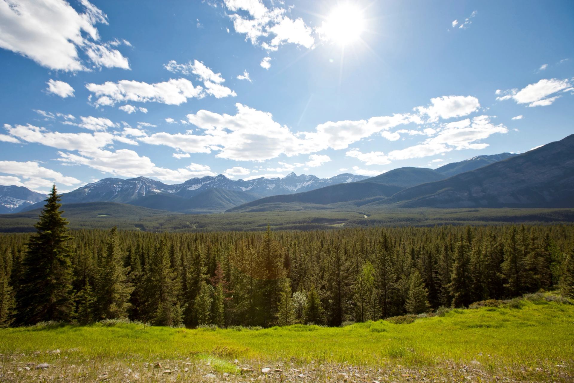 Scenic shot of Bow Valley Provincial Park, in Kananaskis Country.