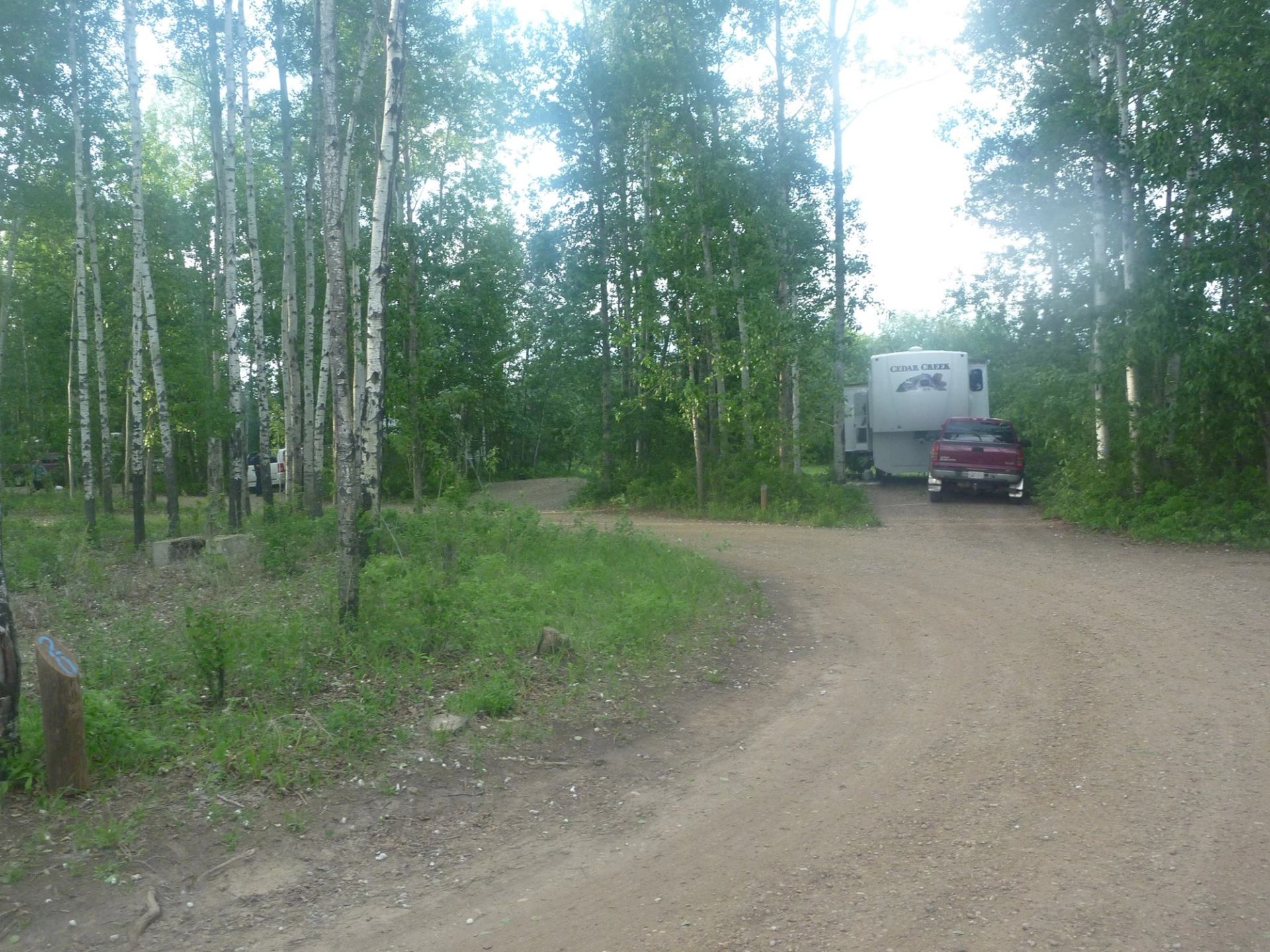 Campground road with parked RV and car among tall trees.