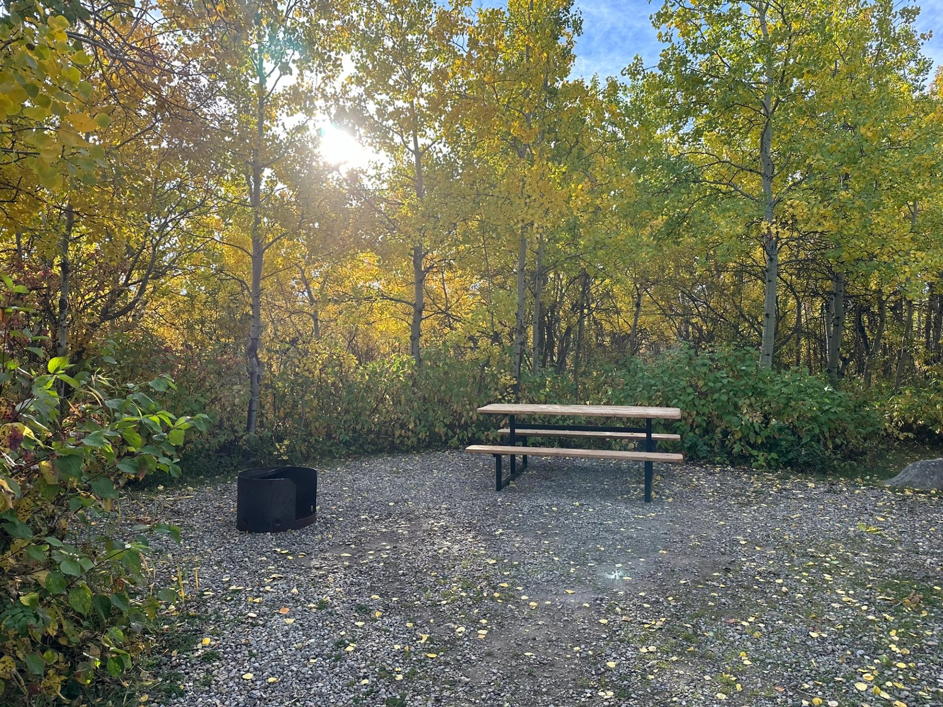 Gravel campsite with picnic table and fire ring surrounded by tall leafy trees.