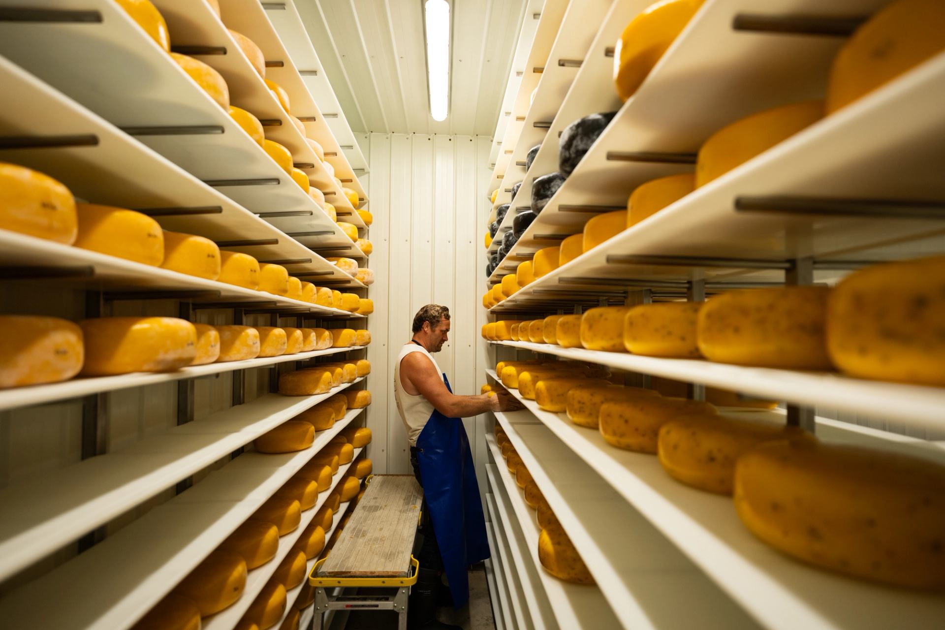Crystal Springs Cheese Factory | Canada's Alberta thumbnail