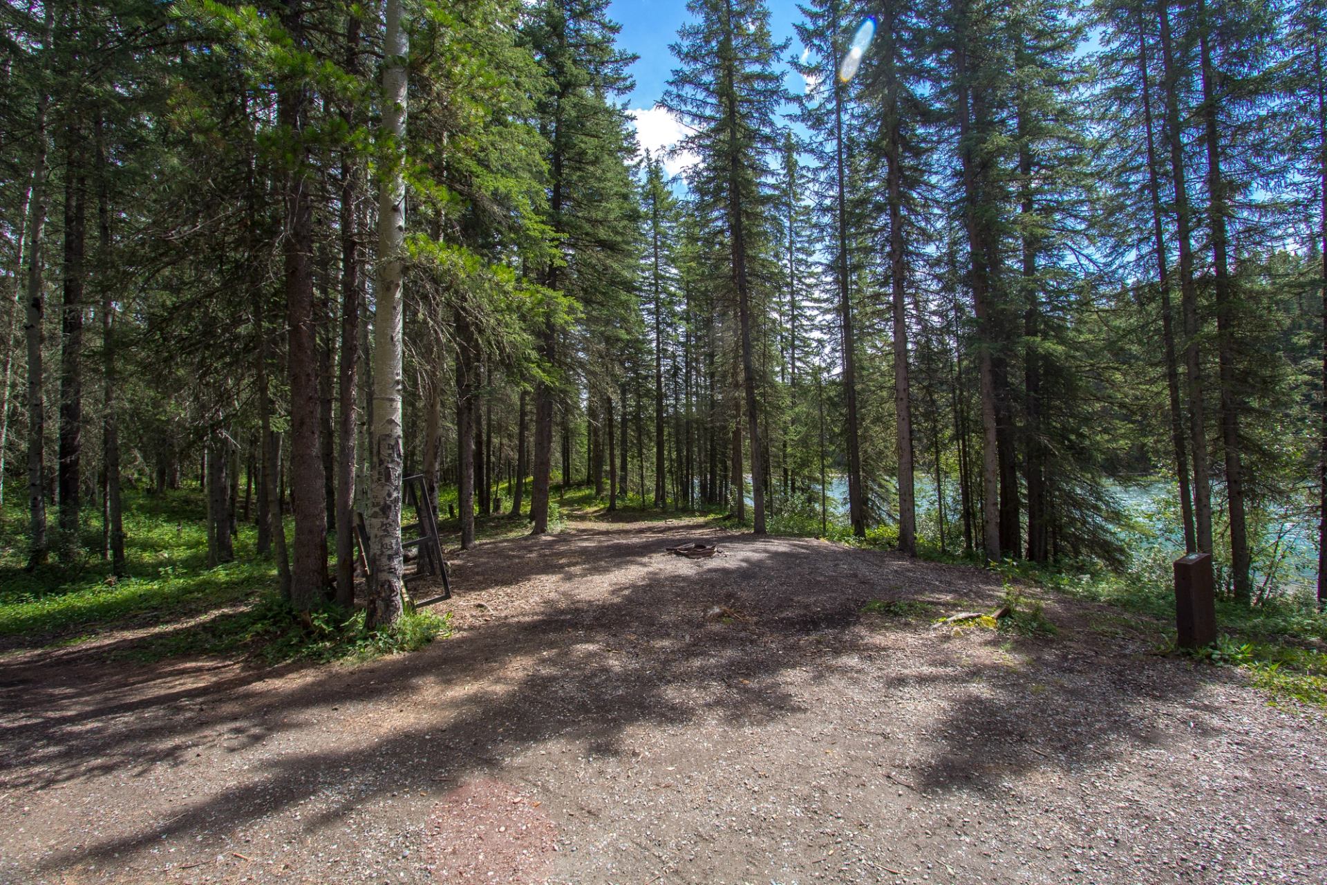 Forest campsite clearing with fire ring, surrounded by tall evergreen trees near water.