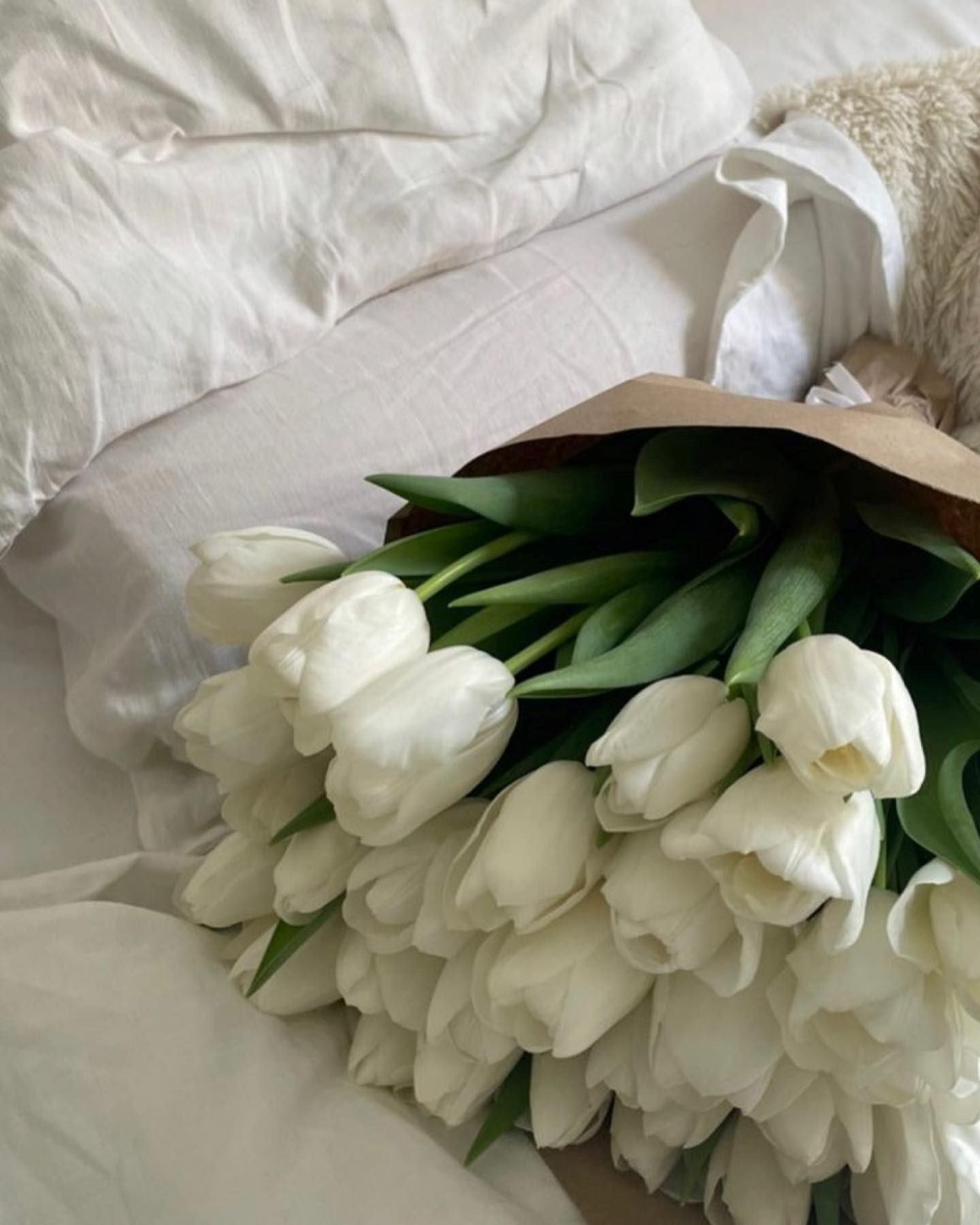 A bonquet of white flowers