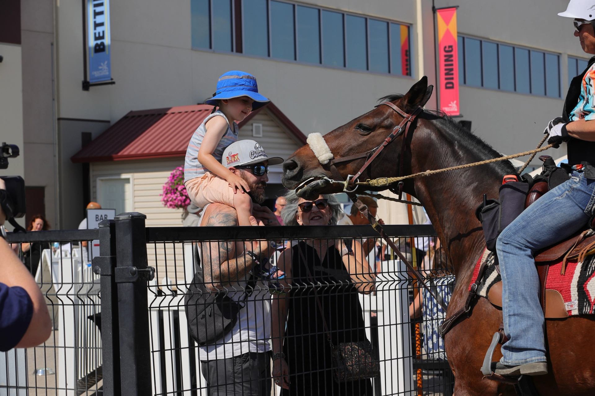 Child sitting on shoulders reaching toward a horse at the race event