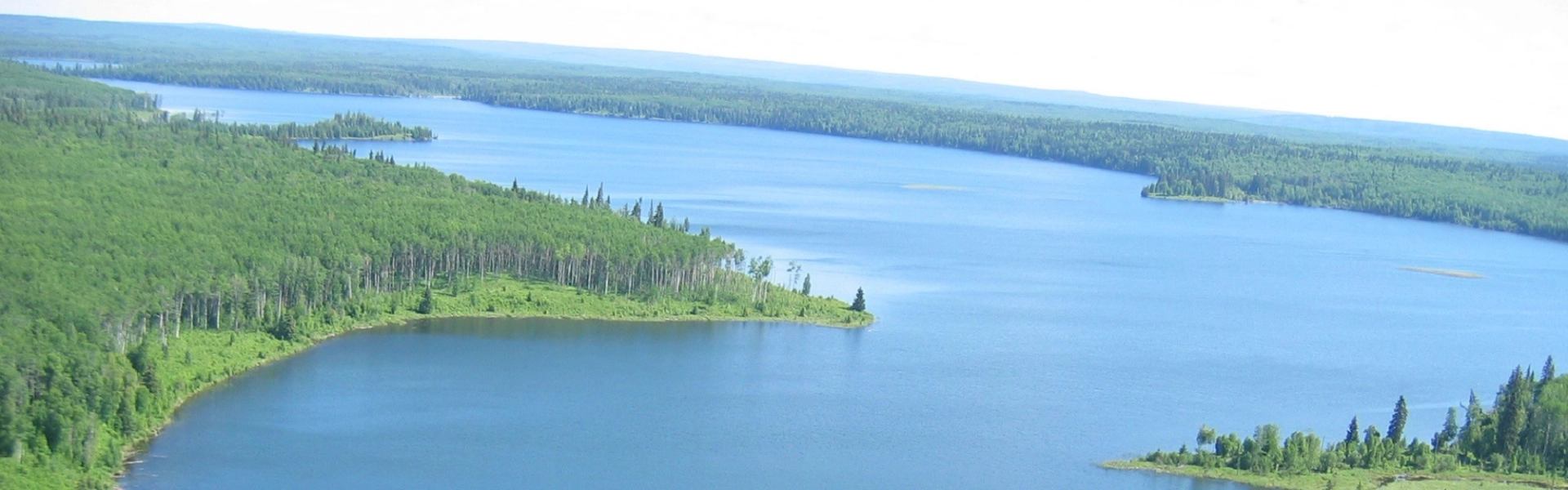 Aerial view of a calm blue lake bordered by lush green forest under a clear sky.