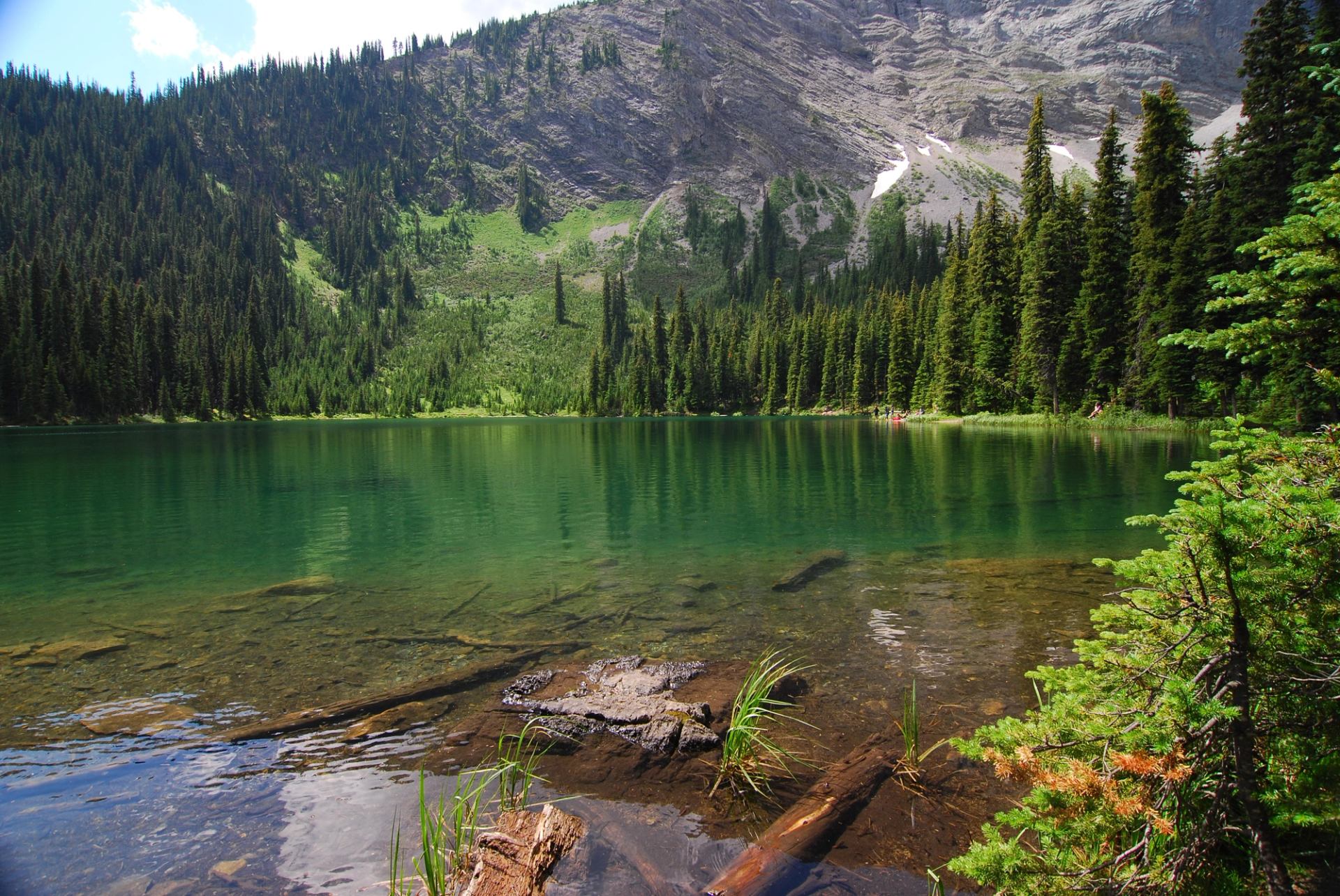 Clear green alpine lake surrounded by dense forest and steep rocky mountains.