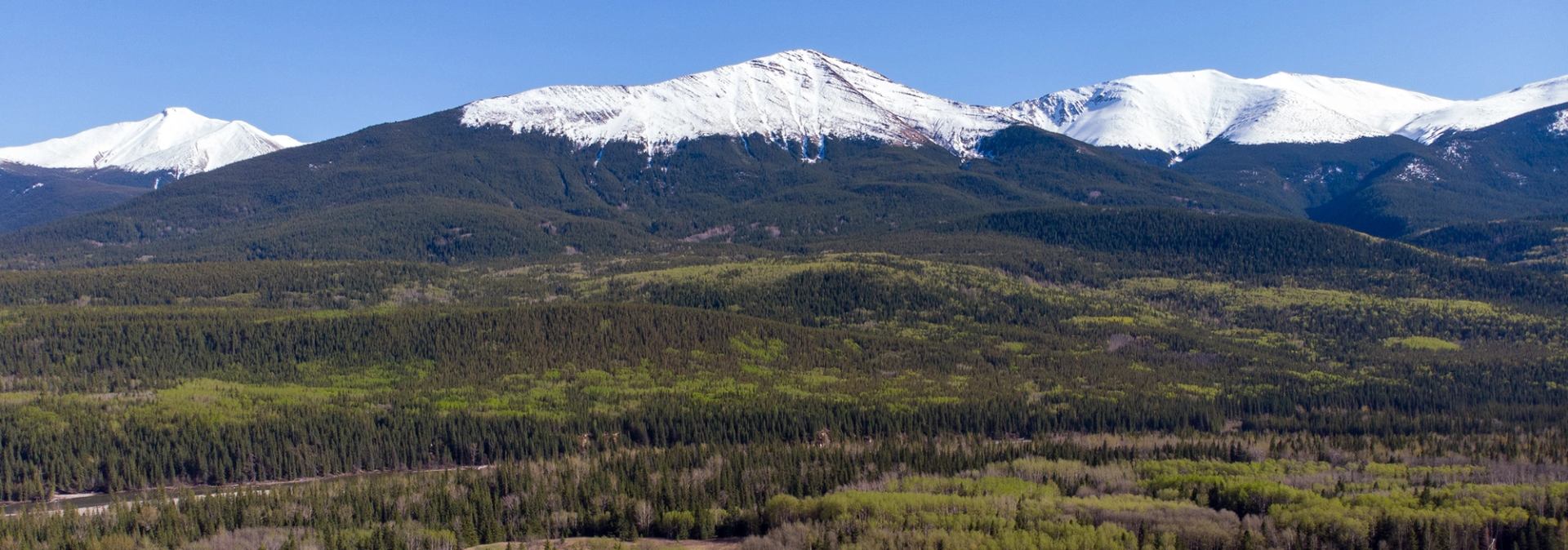 Panoramic view of forested slopes with tall snow‑covered mountain peaks.