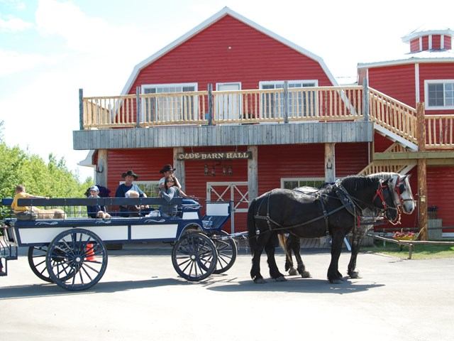 Two horses pulling a wagon in front of Old Barn Hall
