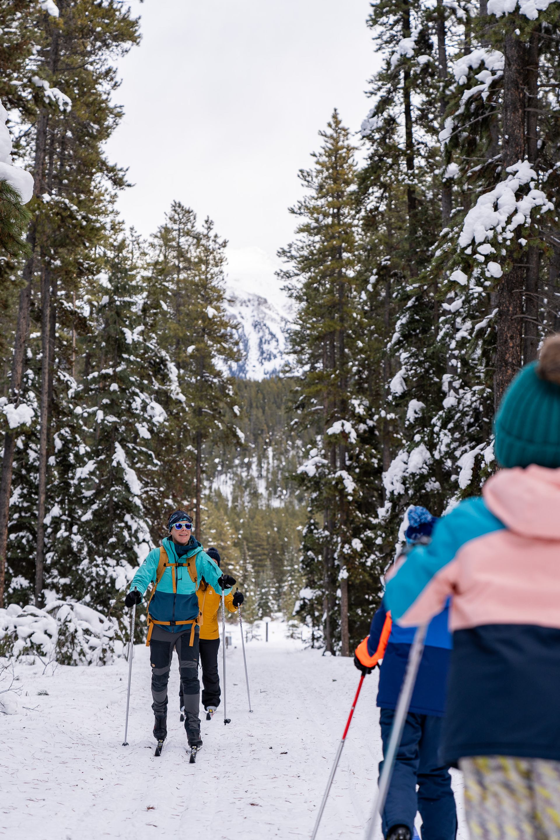 Cross-country skiers move along a snowy forest trail with mountains in background.