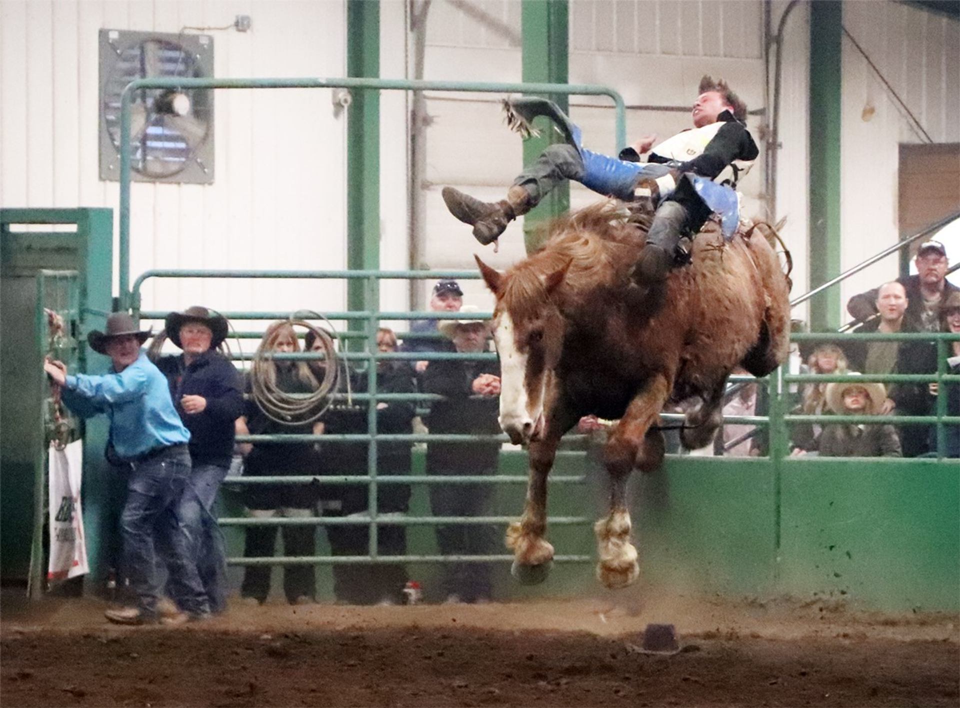 Bronc rider airborne above bucking horse in indoor rodeo arena with spectators watching.