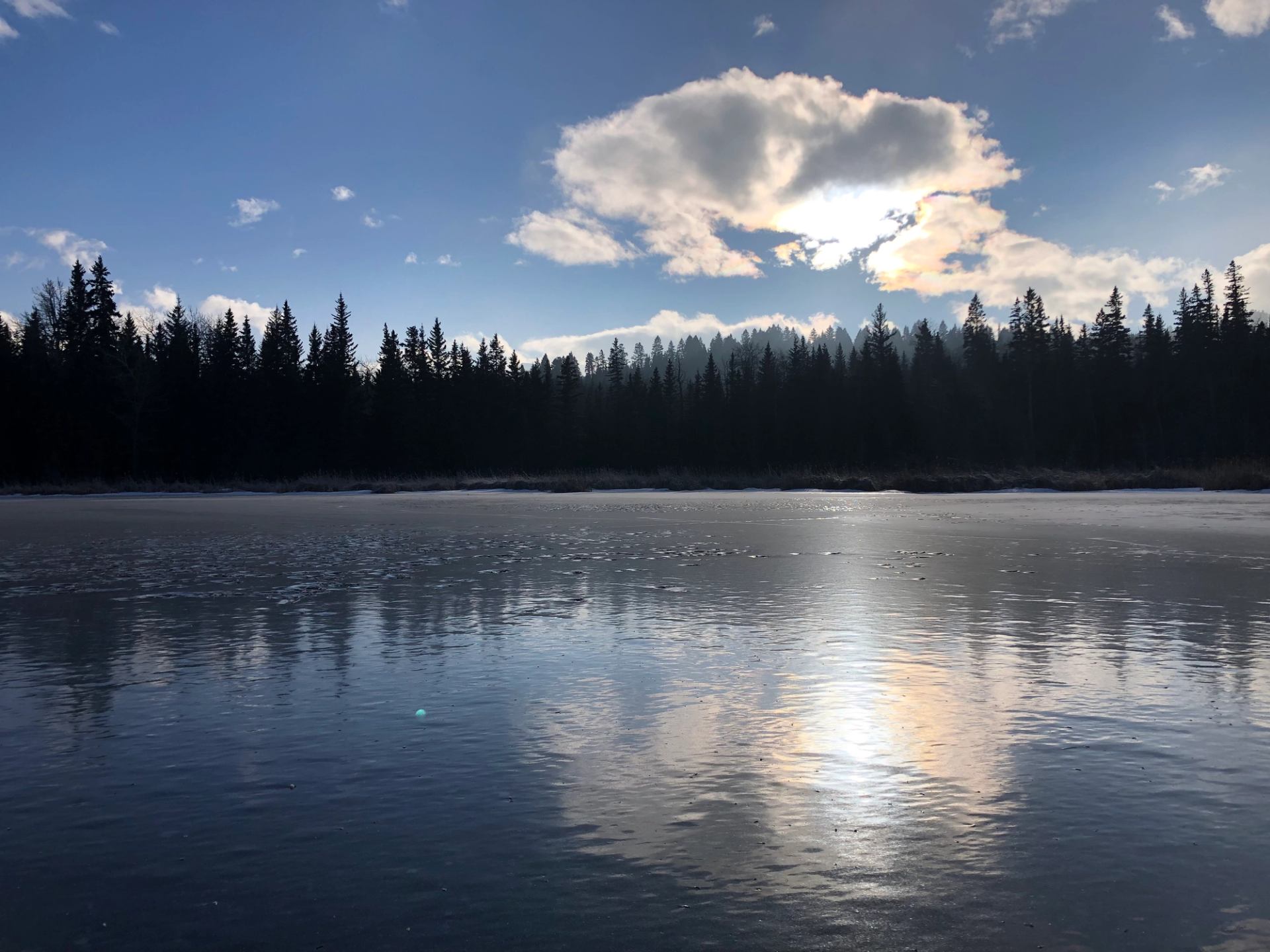 Frozen lake reflecting clouds and sunlight, framed by a dark treeline.