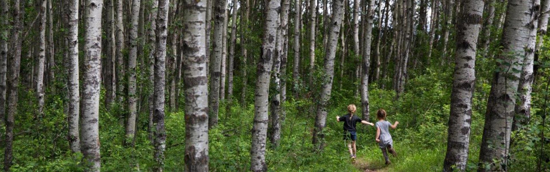 Clifford E. Lee Natural Area | Canada's Alberta thumbnail