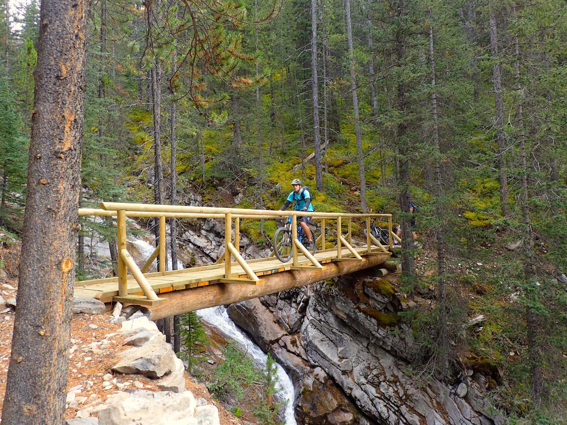 Cyclist crossing a wooden bridge over a rocky creek surrounded by dense forest.