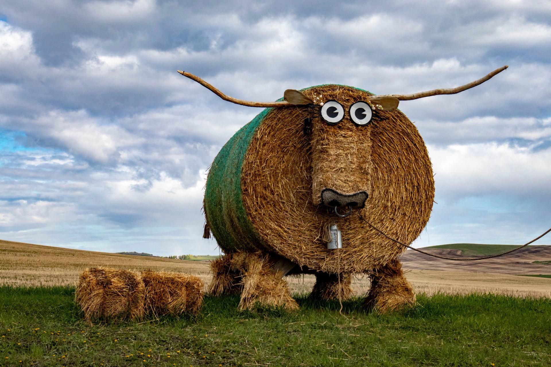 Large hay bale sculpture shaped like a bull with horns and eyes in an open field.