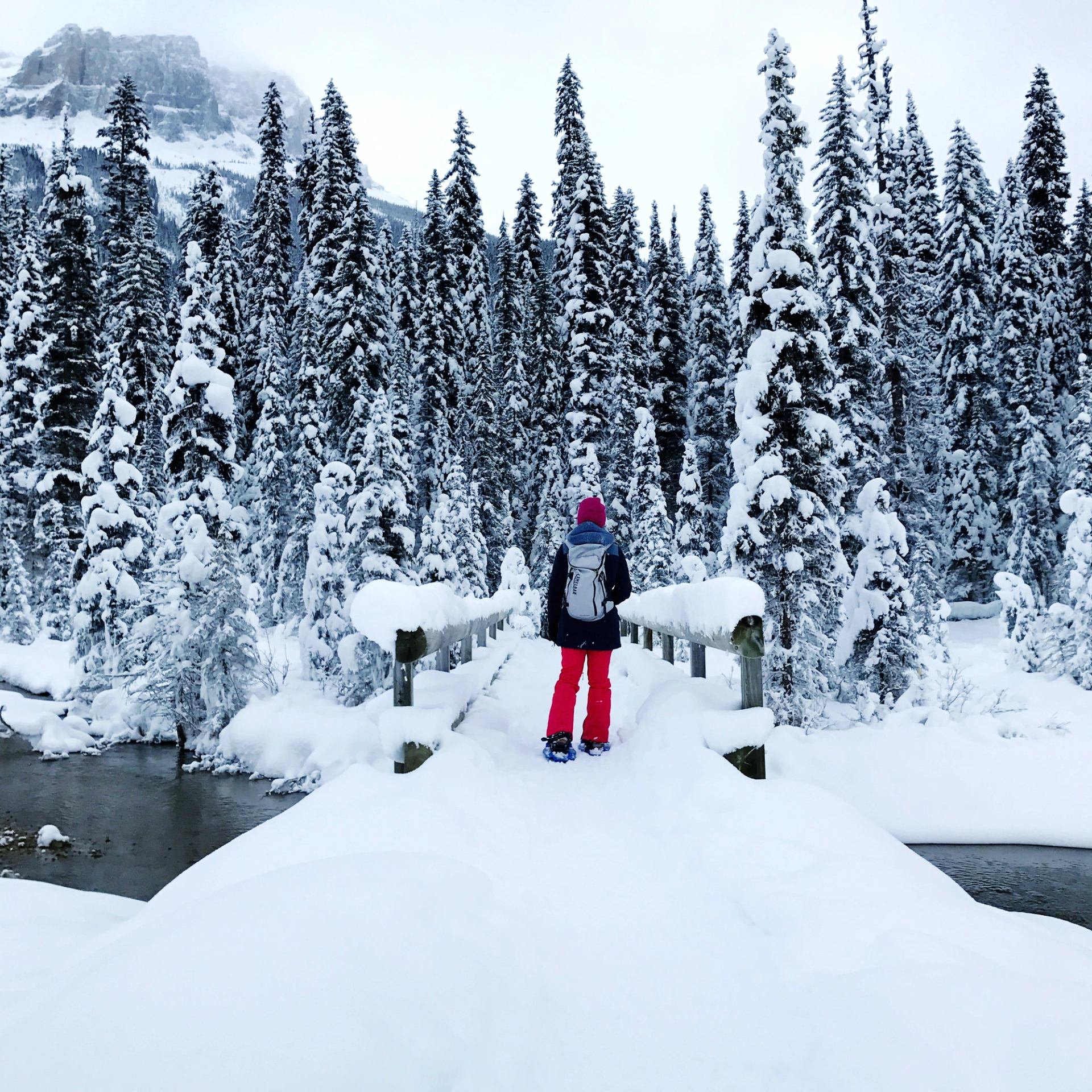 Person on snowy bridge in winter forest with mountains in the background.