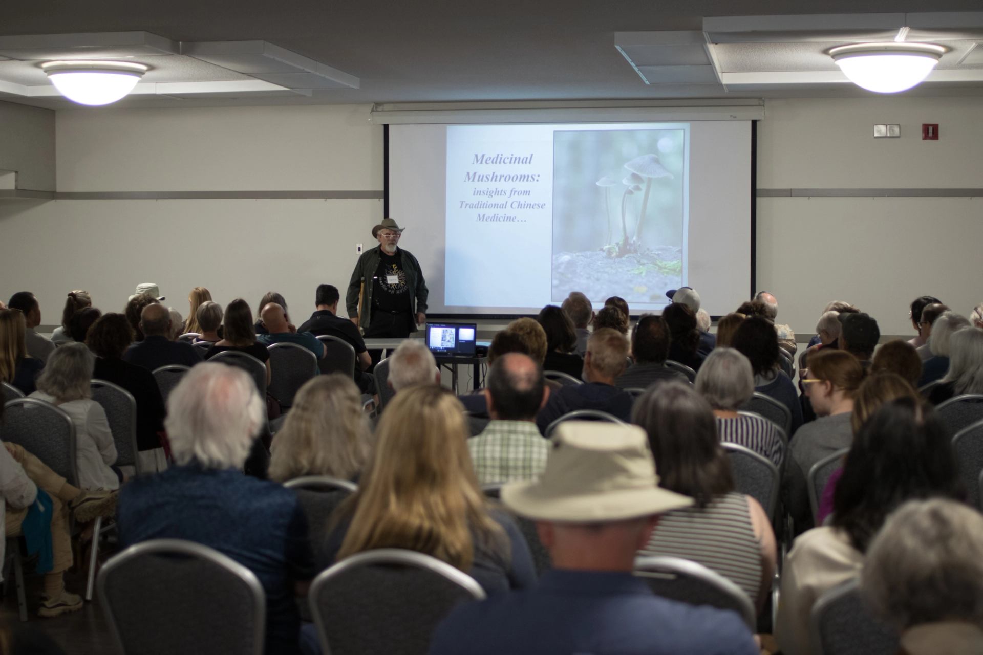 Presentation of Medicinal Mushrooms.