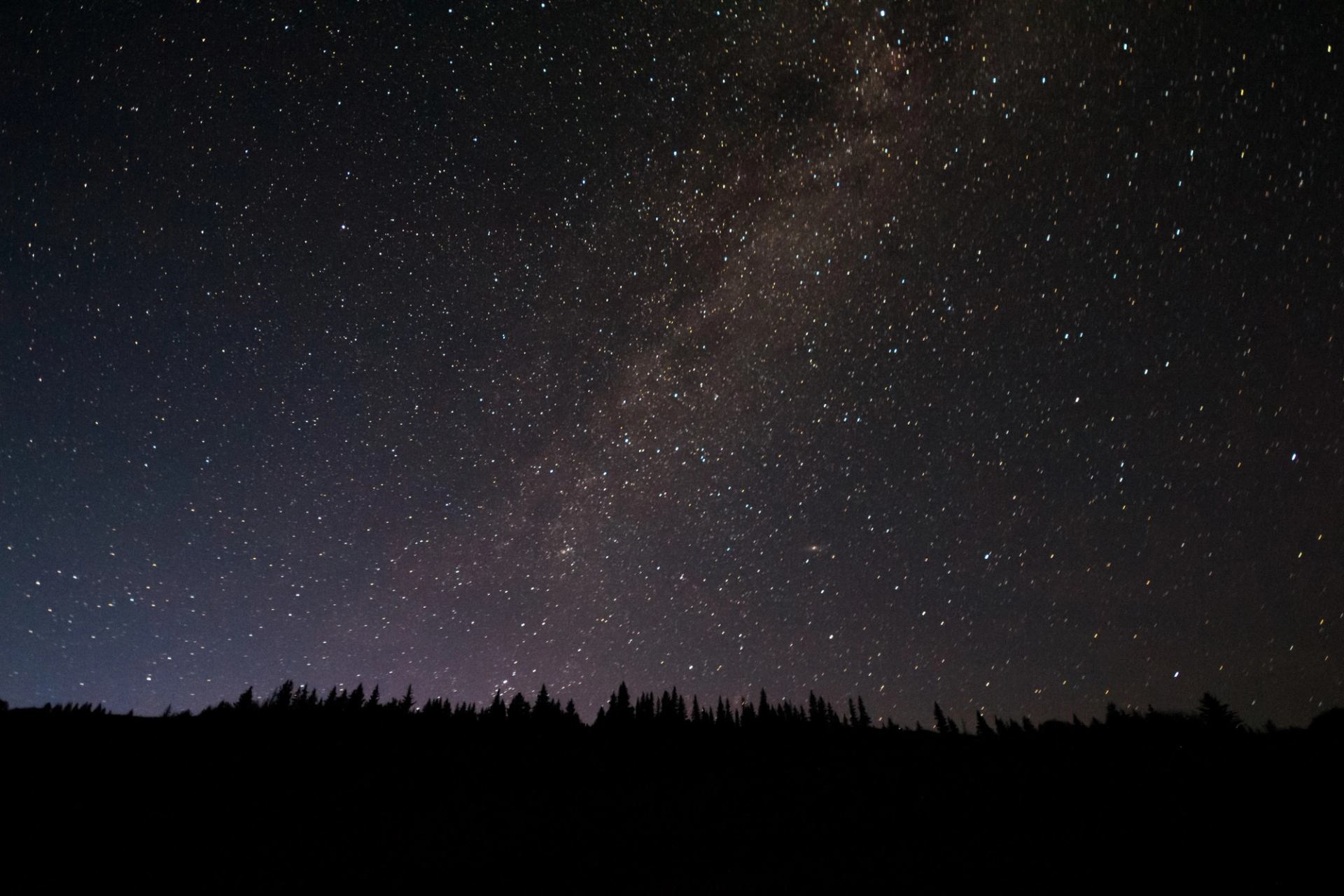 Milky Way over forest at night with stars shining brightly.