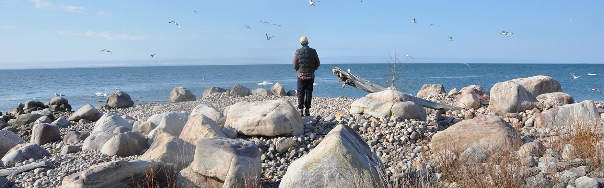 Person stands on rocky shore with seagulls flying over ocean at Egg Island Reserve.