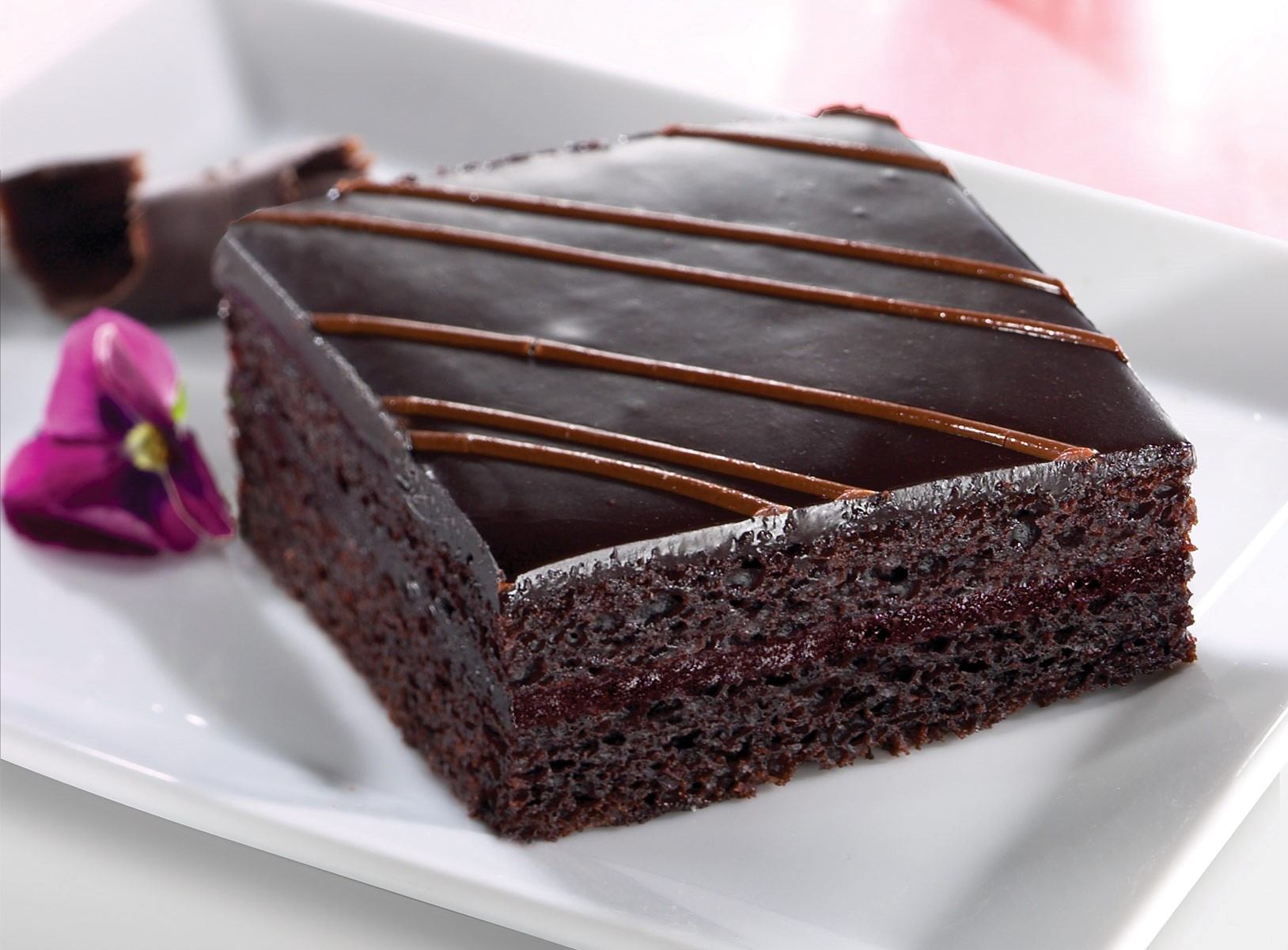 Chocolate cake slice with ganache and flower on a white plate.