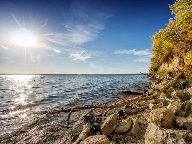 Rocky lakeshore with driftwood, sun glare on water, treed bank.