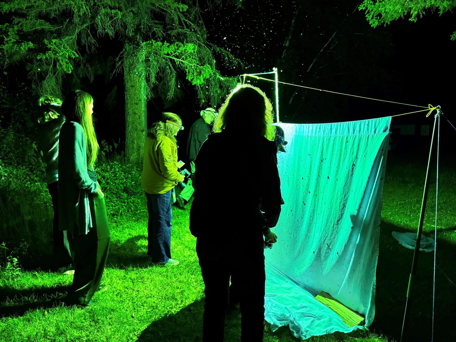 People stand around a lit white sheet outdoors at night, observing insects.
