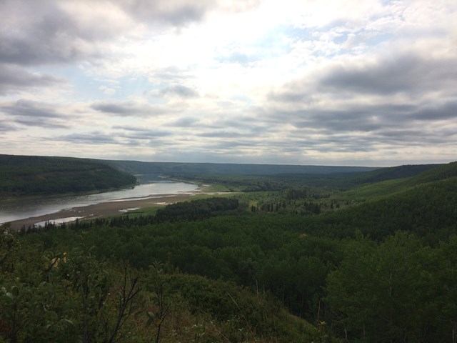 Aerial view of the park