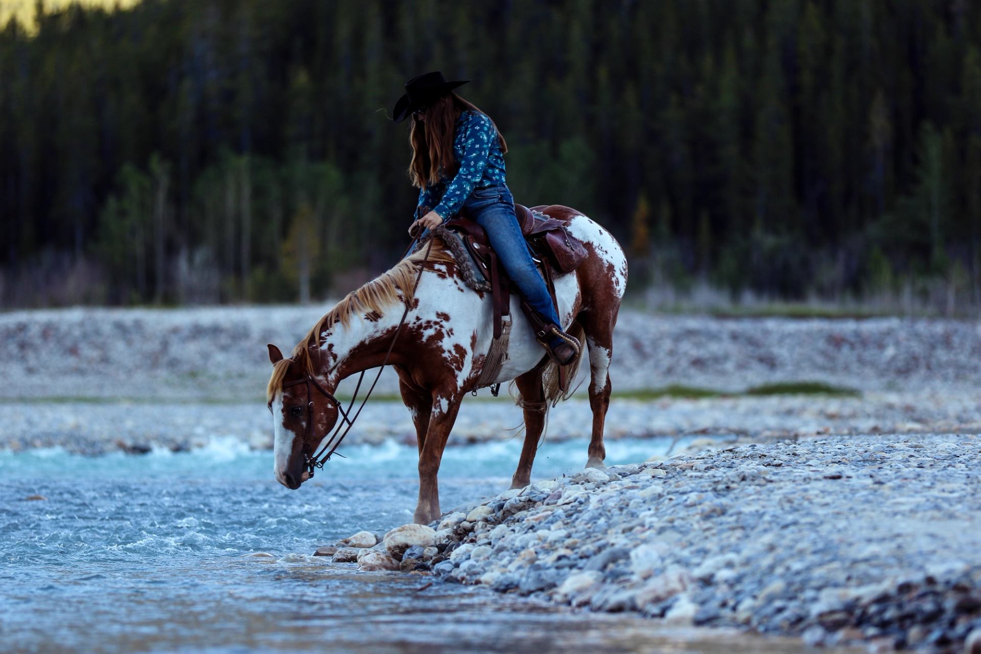 Person in cowboy hat sits on pinto horse drinking from shallow rocky river.
