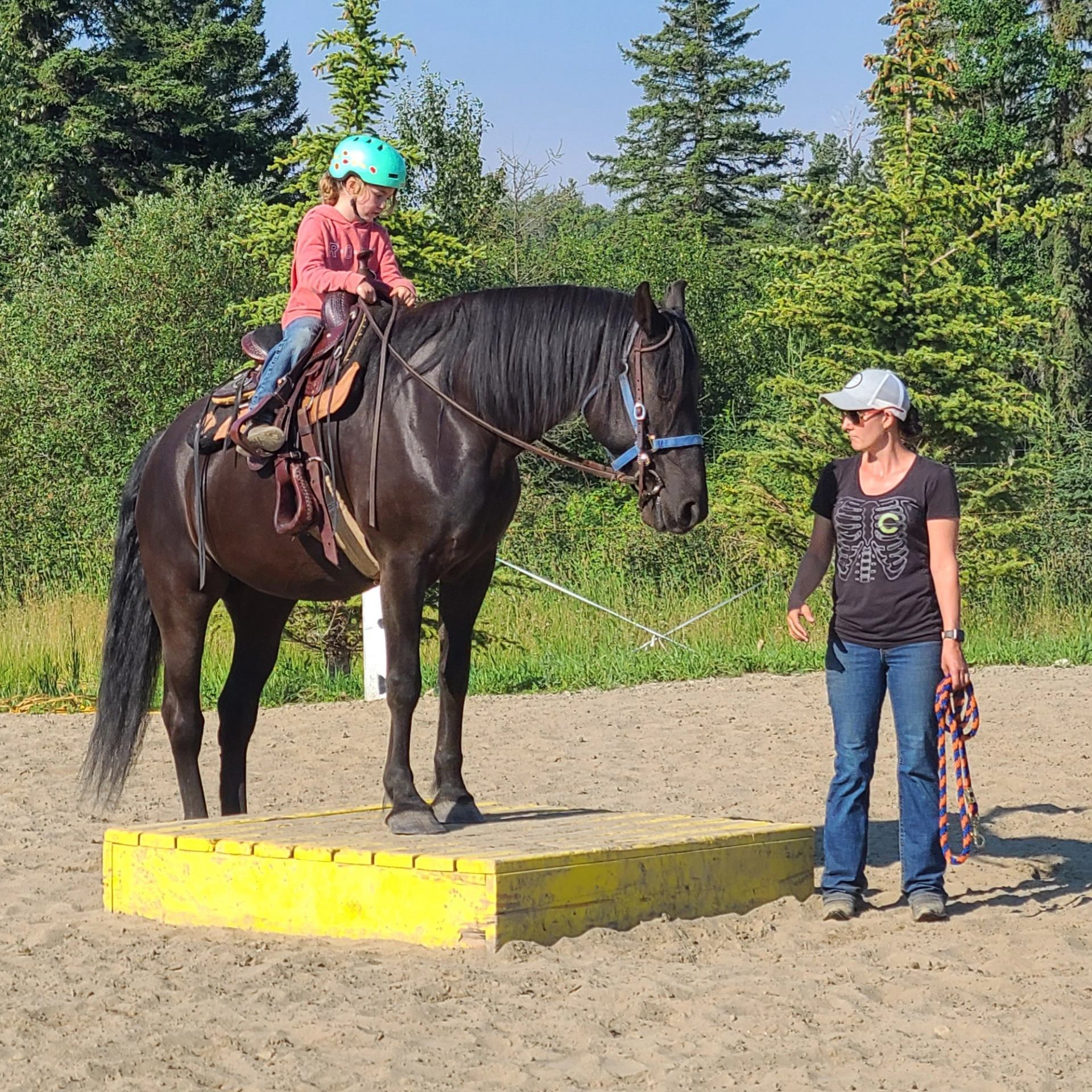 A child on a horse