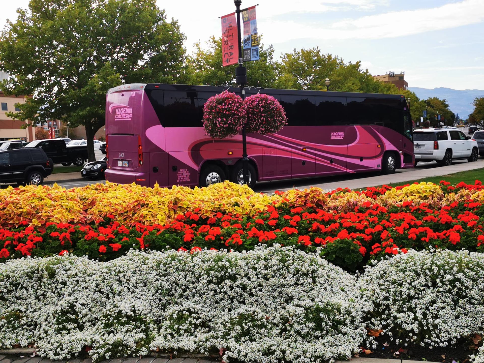 Pink Nagel Coaches motorcoach parked along a landscaped city street with vibrant flowers.