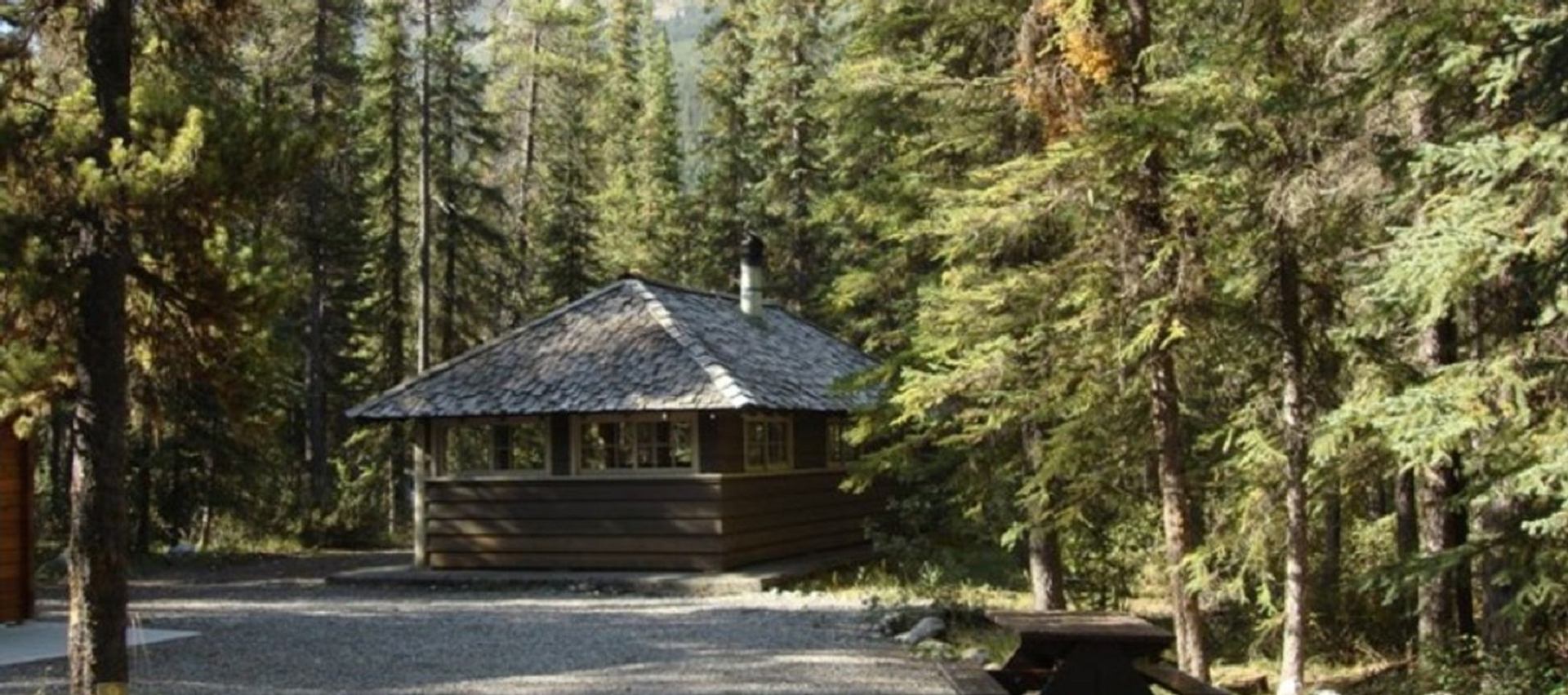 Small wooden cabin with shingled roof surrounded by tall evergreen trees and gravel path.