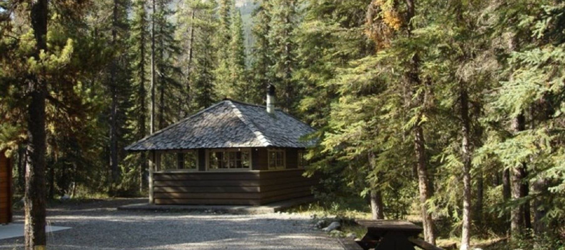 Small wooden cabin with shingled roof surrounded by tall evergreen trees and gravel path.