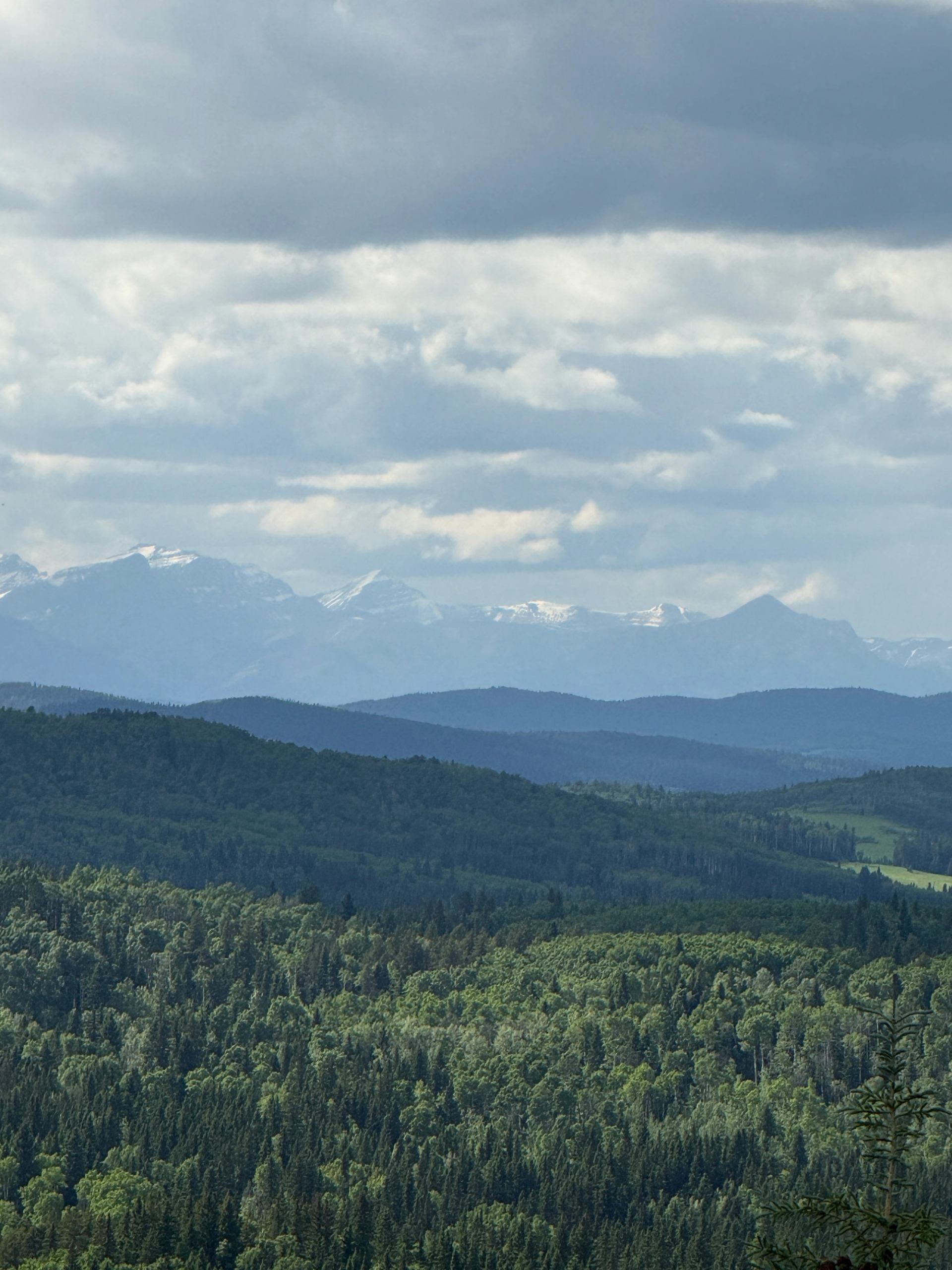 Forested hills stretch toward snow-capped mountains beneath layered grey clouds.