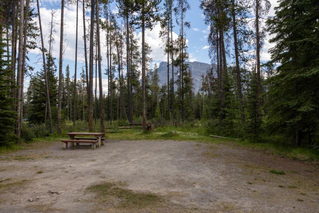 Site at Tunnel Mountain Village 1 Campground.